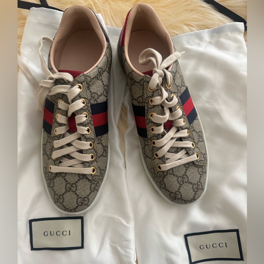 Authentic Gucci Sneaker 37